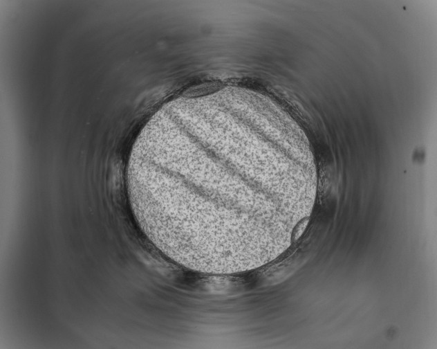 X0000097920623200804041525