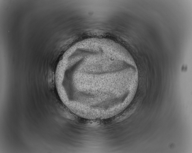 X0000097920624200804041525