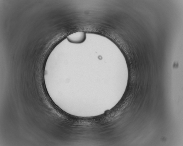 X0000097920625200804041524