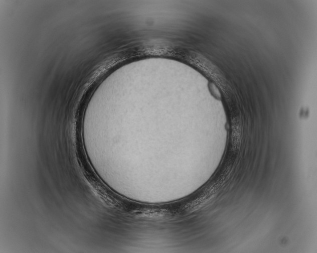 X0000097920626200804041524