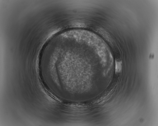 X0000097920627200804041524