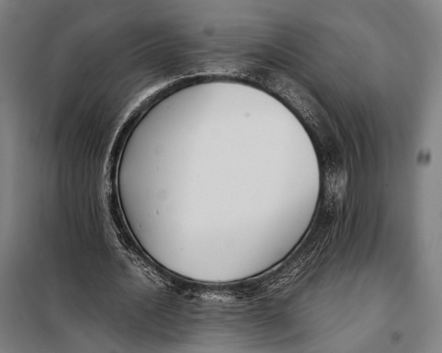 X0000097920628200804041524