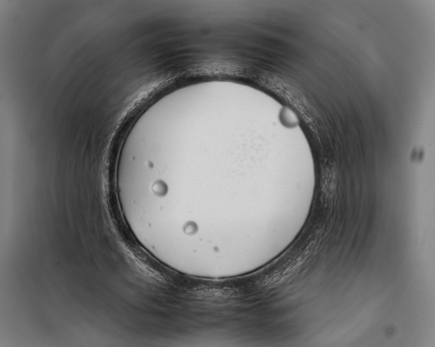 X0000097920629200804041524