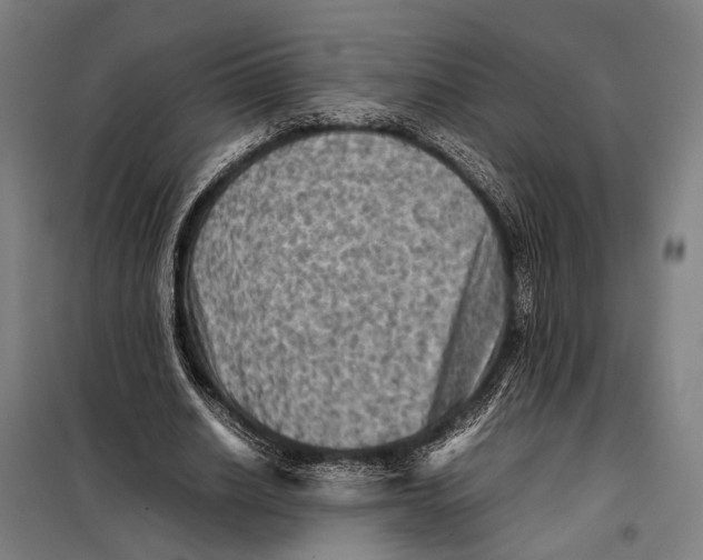 X0000097920630200804041524