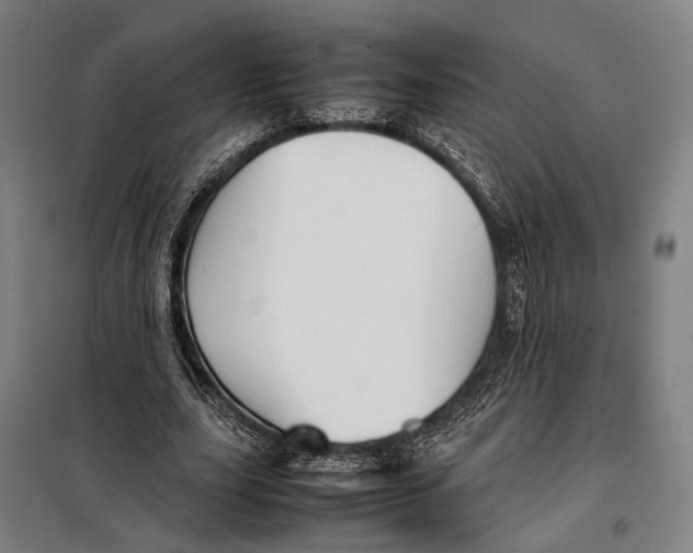 X0000097920631200804041524