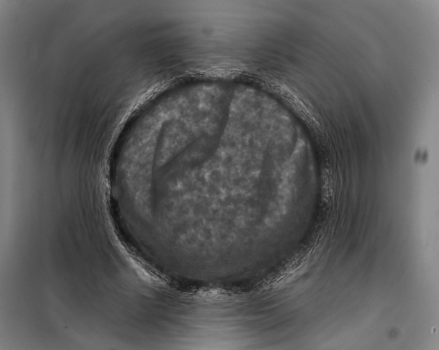 X0000097920634200804041524