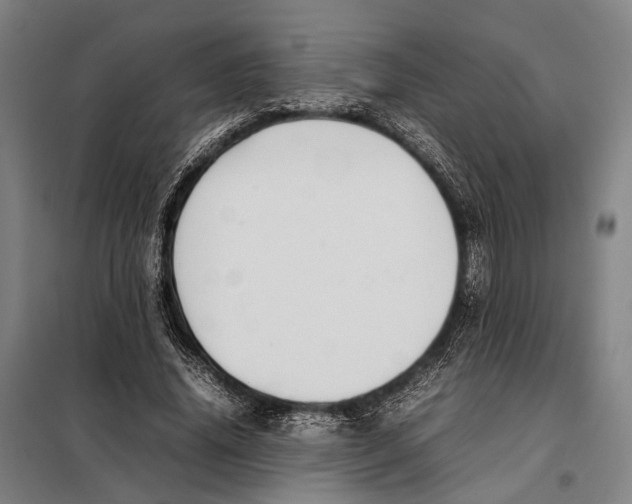 X0000097920636200804041524