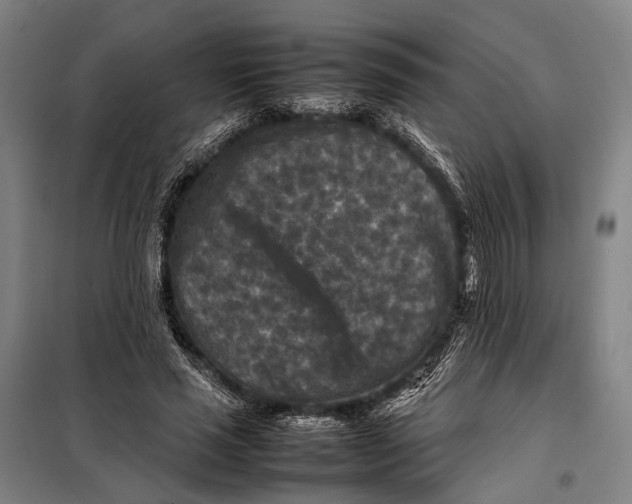 X0000097920637200804041524