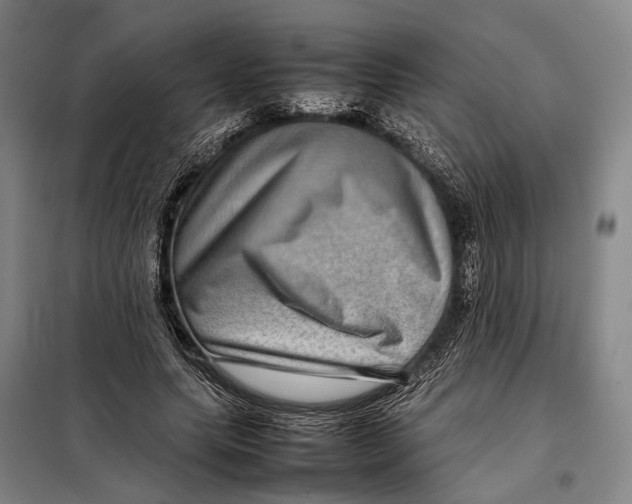 X0000097920639200804041524