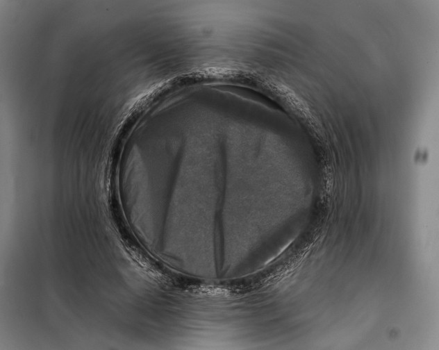 X0000097920640200804041524