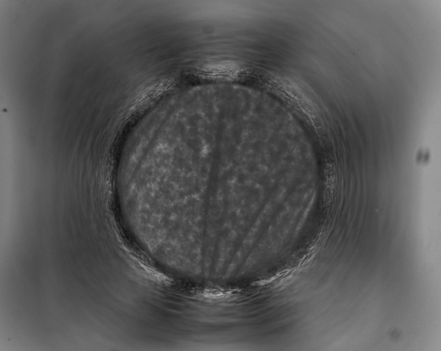 X0000097920641200804041524