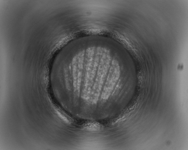 X0000097920642200804041525