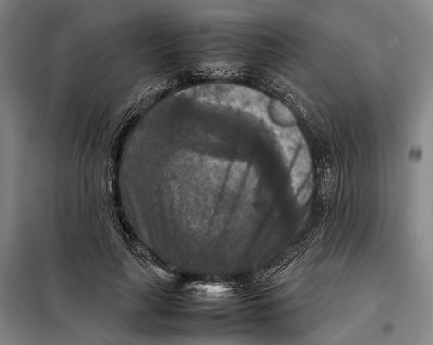 X0000097920643200804041525