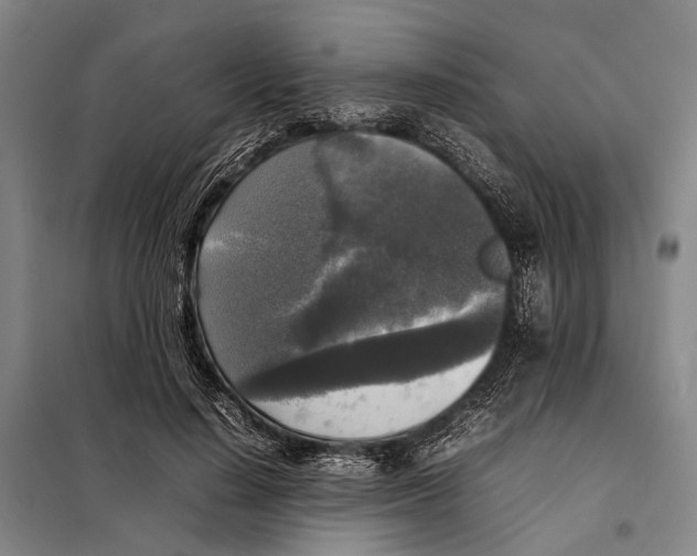 X0000097920644200804041525