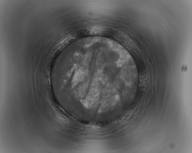 X0000097920648200804041525