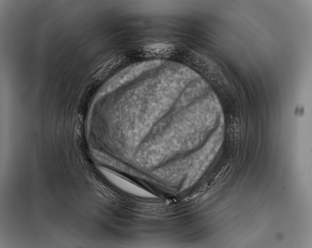 X0000097920649200804041525