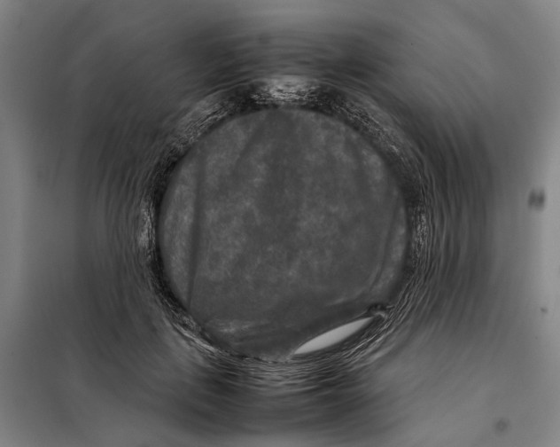 X0000097920651200804041525