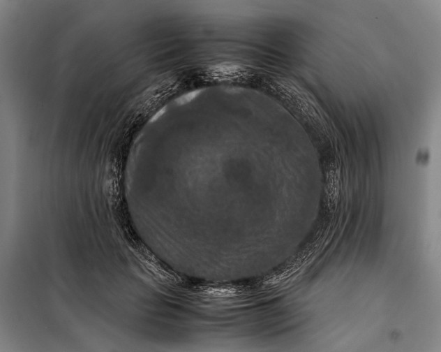 X0000097920653200804041525