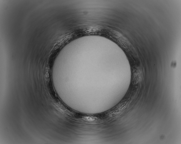 X0000097920654200804041525