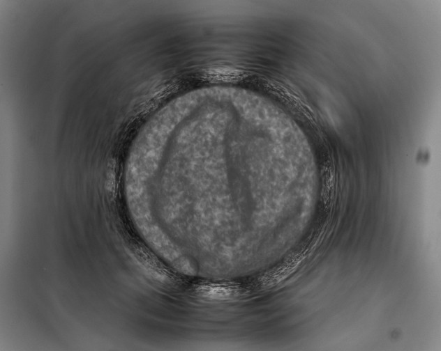 X0000097920655200804041525