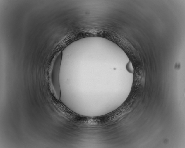 X0000097920656200804041525