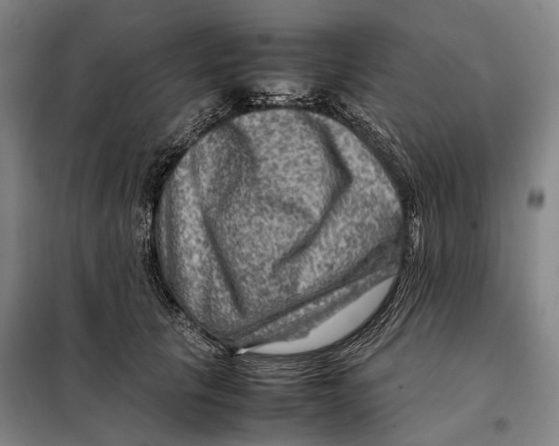 X0000097920657200804041525