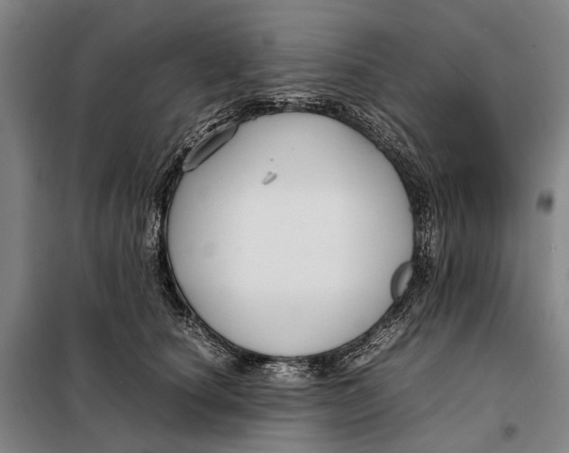 X0000097920660200804041525