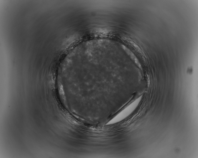 X0000097920661200804041525