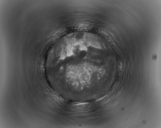 X0000097920663200804041525