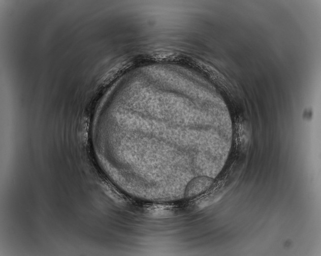 X0000097920664200804041525