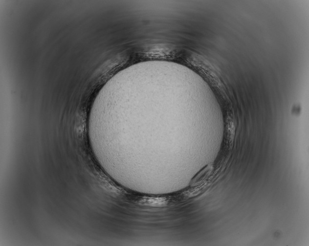 X0000097920665200804041525