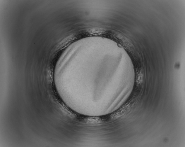 X0000097920666200804041525