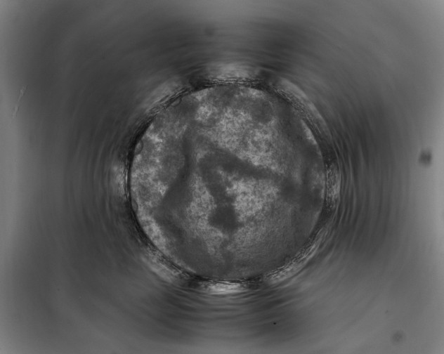 X0000097920669200804041525