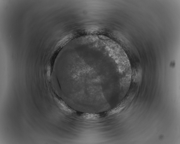 X0000097920670200804041525