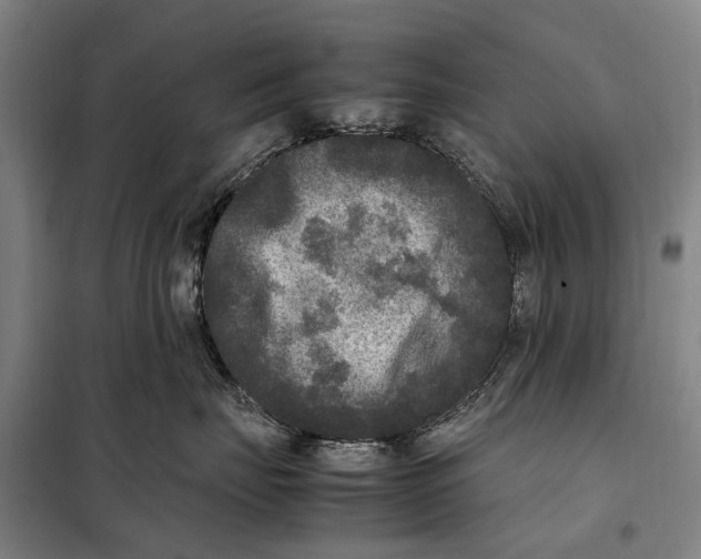 X0000097920671200804041525