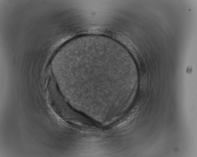 X0000097920673200804041524