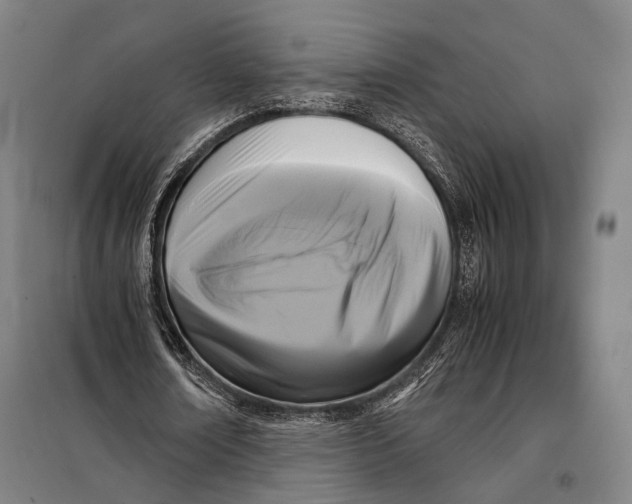 X0000097920674200804041524