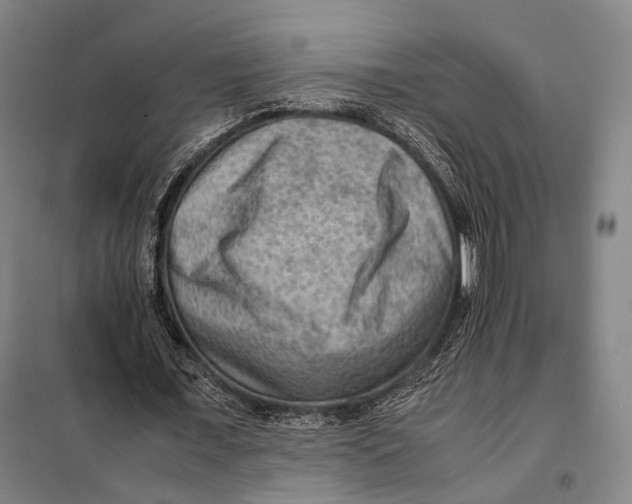 X0000097920675200804041524