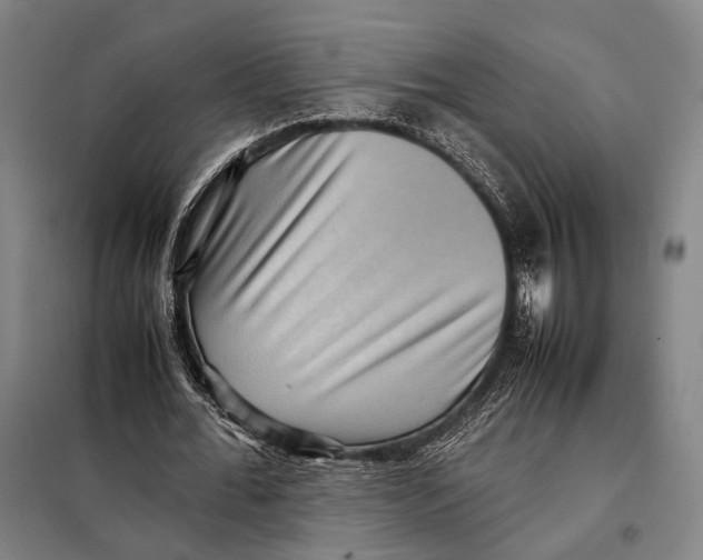 X0000097920676200804041524