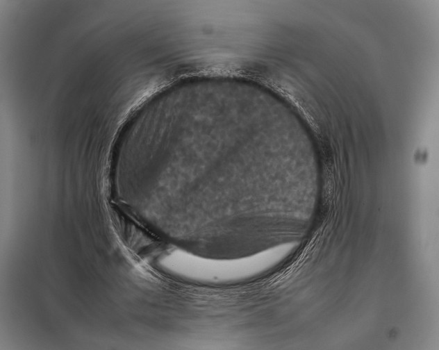 X0000097920677200804041524