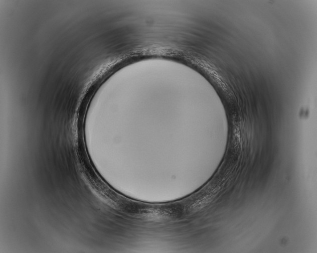 X0000097920678200804041524