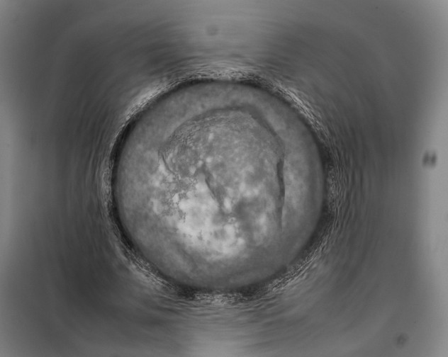 X0000097920679200804041524