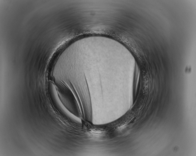 X0000097920680200804041524