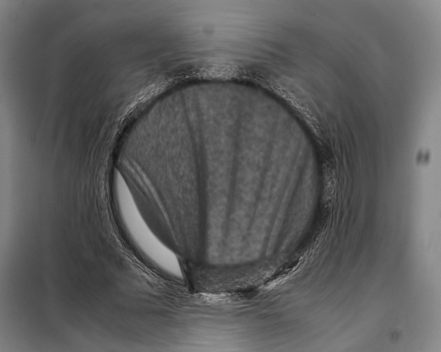 X0000097920681200804041524