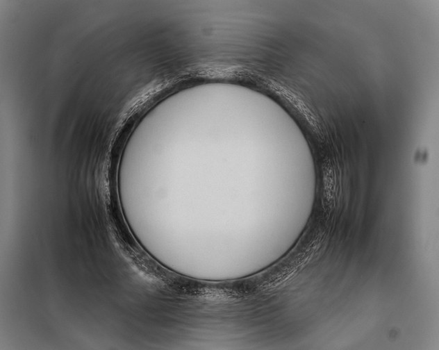 X0000097920682200804041524