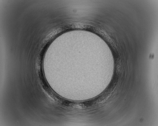 X0000097920683200804041524