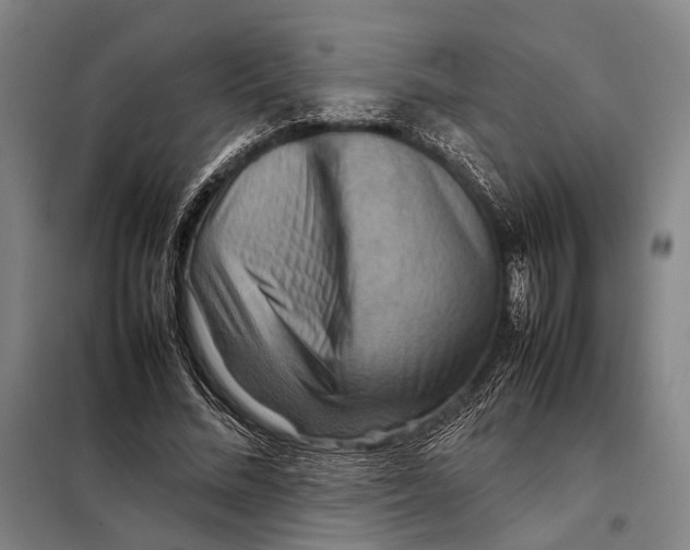 X0000097920684200804041524