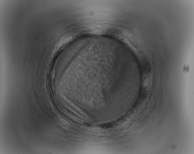 X0000097920685200804041524