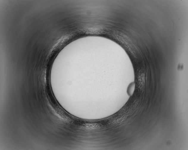 X0000097920686200804041524