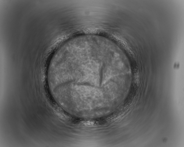 X0000097920687200804041524